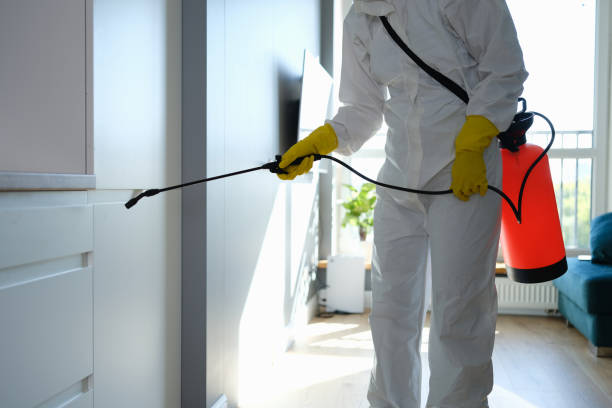 Best Post-Flood Mold Remediation in Bakersfield Country Clu, CA